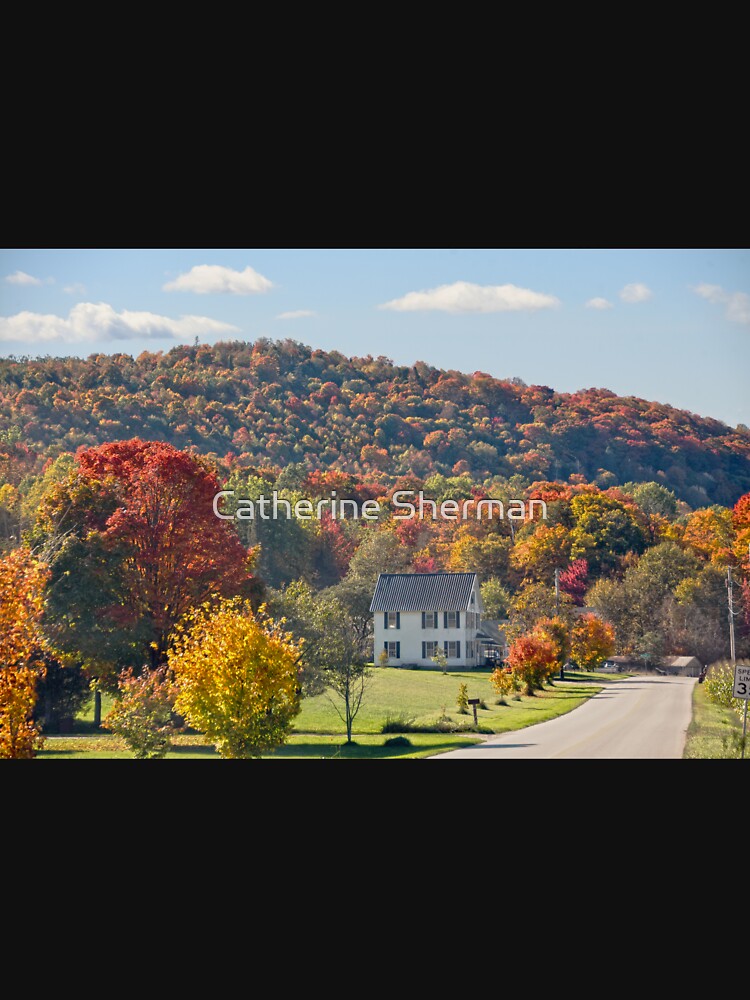New York Country Road in Autumn by Catherine Sherman