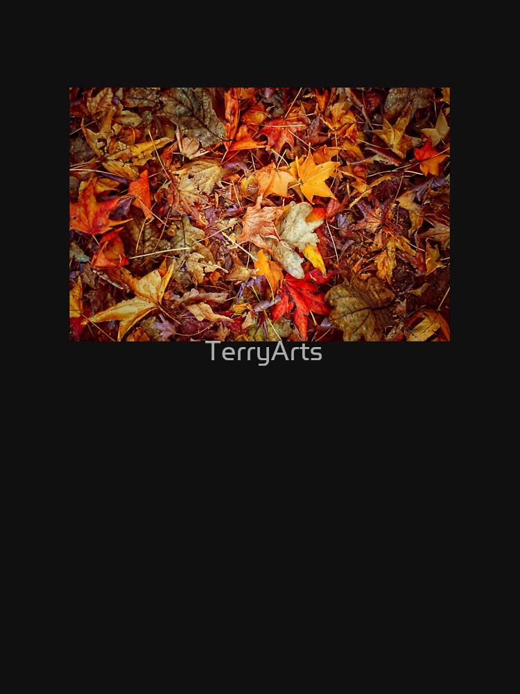Fallen Leaves in Autumn - Autumn Leaf Colors Variety - Warm Tones by Beachy