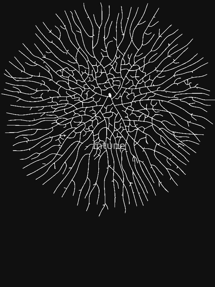 Mycelium mushroom mycology fungi network design pattern by Intune