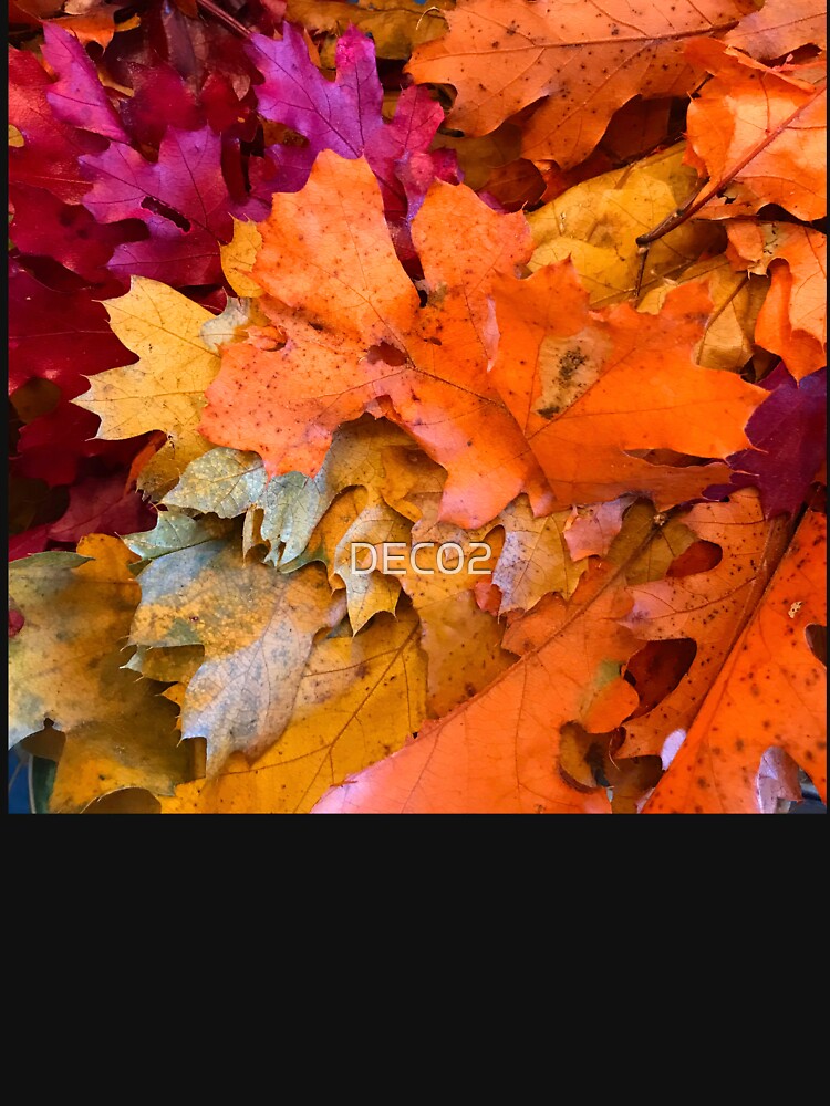 Bright and Colorful Autumn Leaves in Pumpkin Spice Art Photo by DEC02