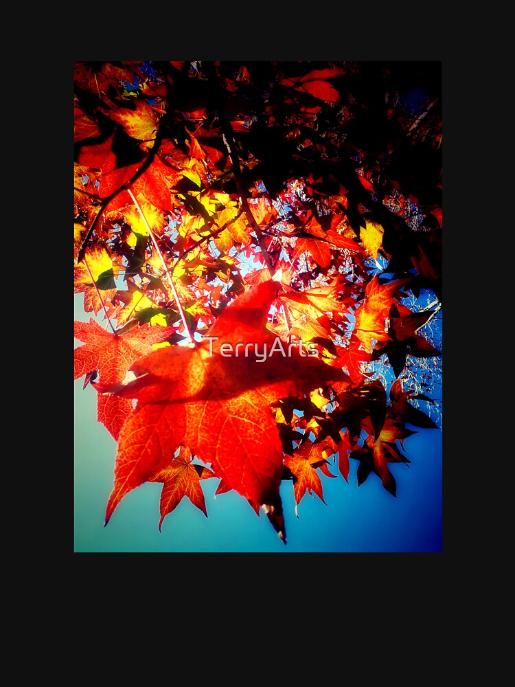 Autumnal Hues Autumn Colors Orange Red Yellow Leaves with Blue Sky by Beachy