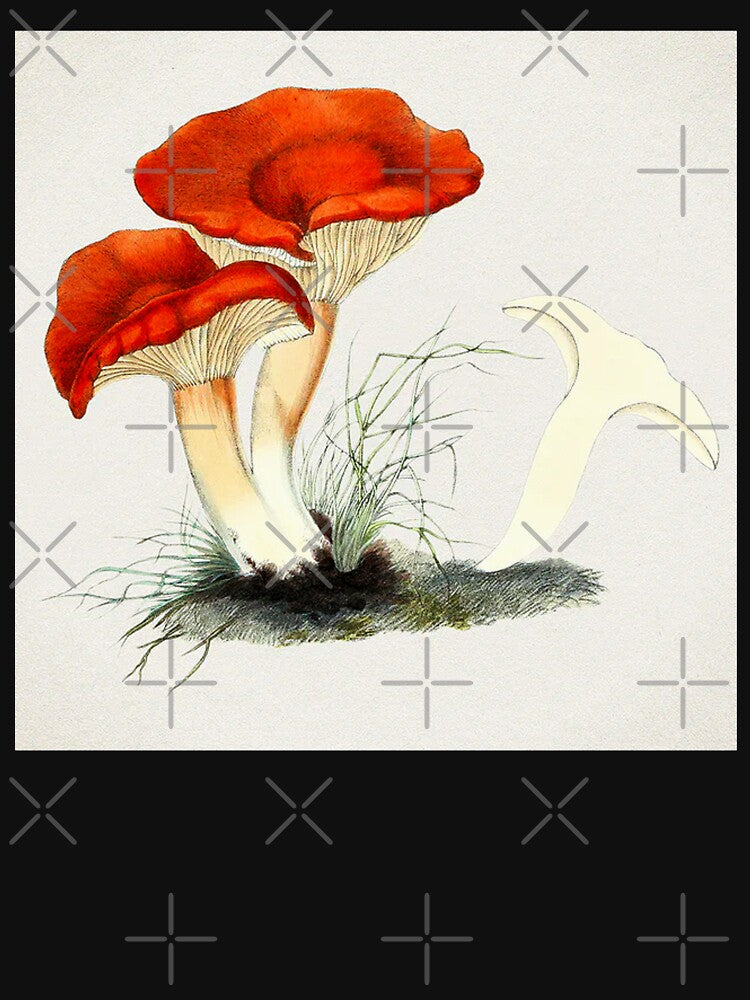 Rufous Milkcap Mushroom by TheArtShop0528