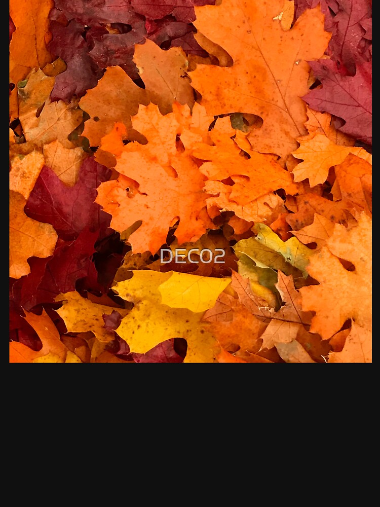 Autumn Pumpkin-Orange and Sunset-Red Spectacular Leaves Art Photo by DEC02