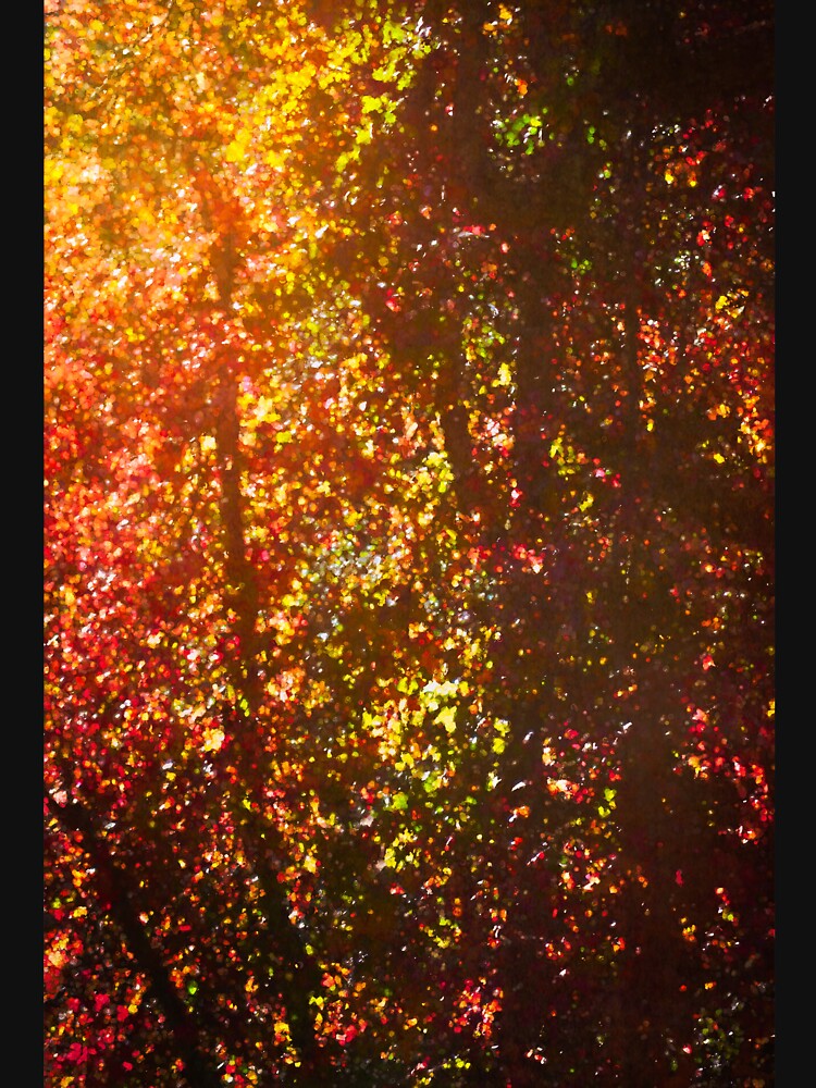 Colors 170 by secretgardener