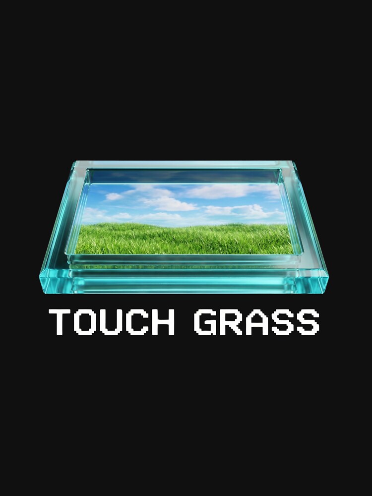 Touch Grass - Frutiger Aero Meme Window by blakfrog