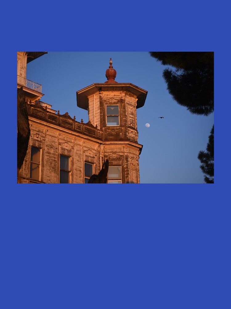 Istanbul Caddebostan Haunted Mansion and Full Moon and Bird by ezgi-yc