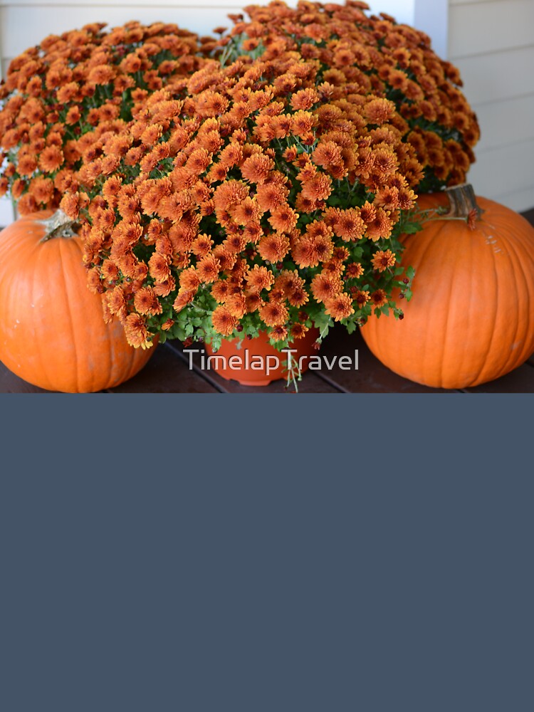 Golden Harvest: Pumpkins and Orange Mums by TimelapTravel