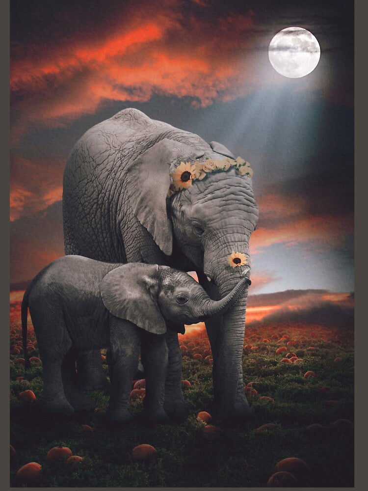 Elephants in a Pumpkin Patch by Last Ray Visuals