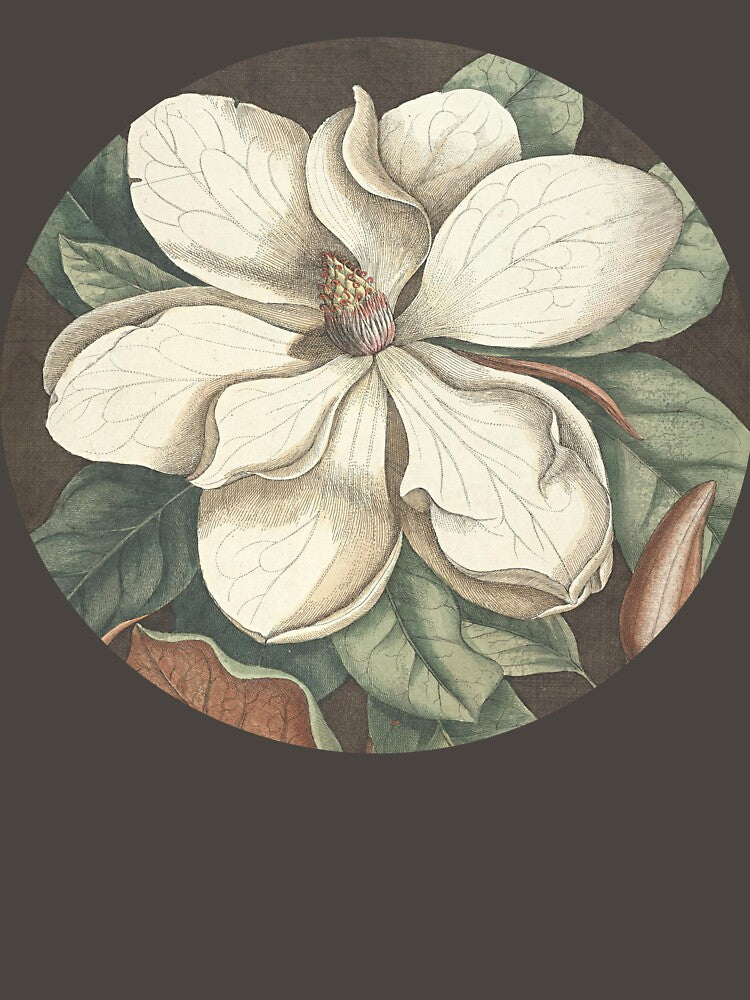 Vintage white magnolia, vintage botanical big flower. by LeAllureVintage