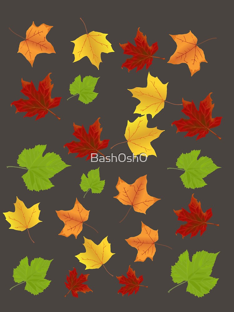 Autumn leaves by Bash0sh0