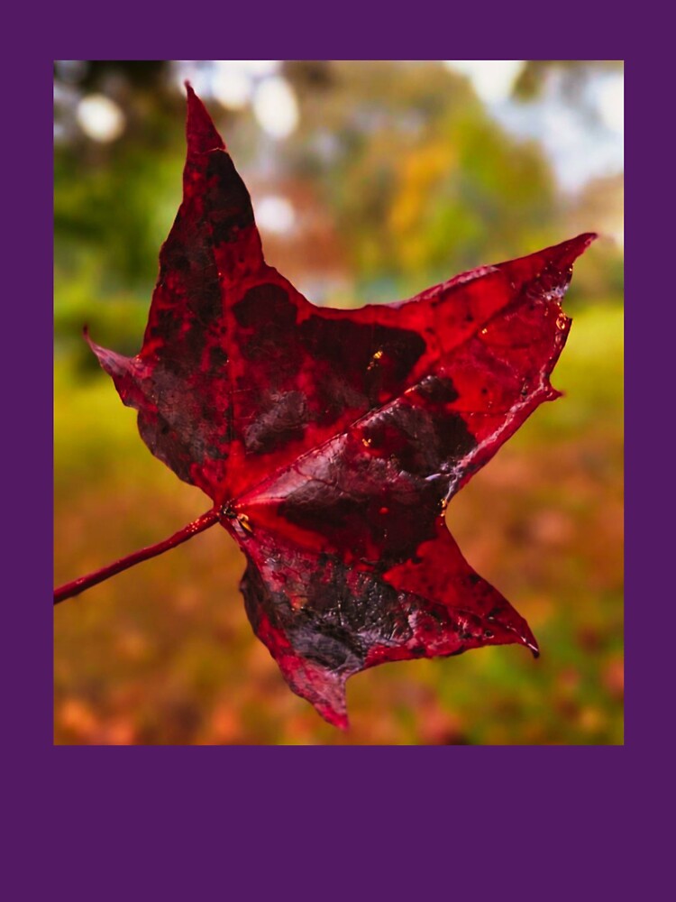 Autumn Leaf. by Dinasshop
