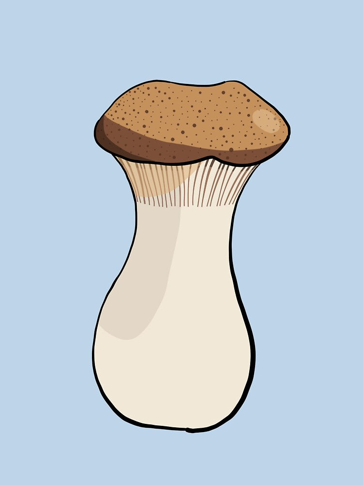 King Oyster Mushroom by wolkedesign