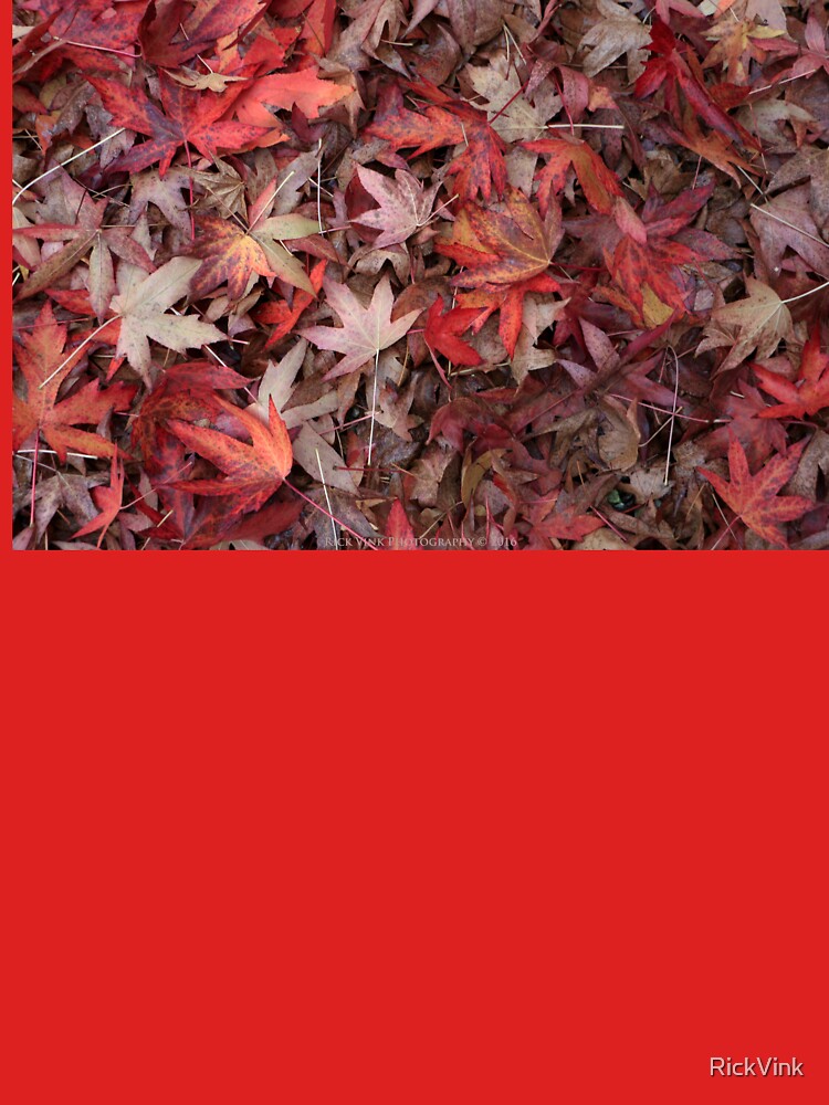 Autumn Leaves by RickVink