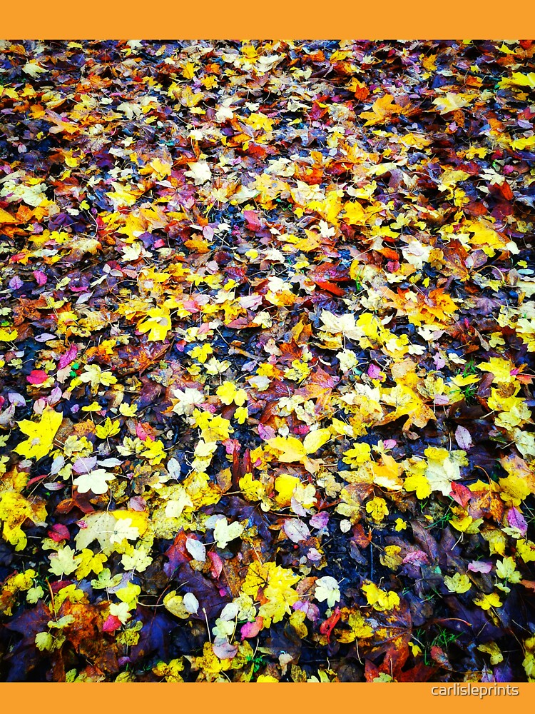 Autumn vibe by carlisleprints