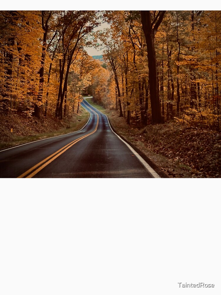 Tree covered road by TaintedRose
