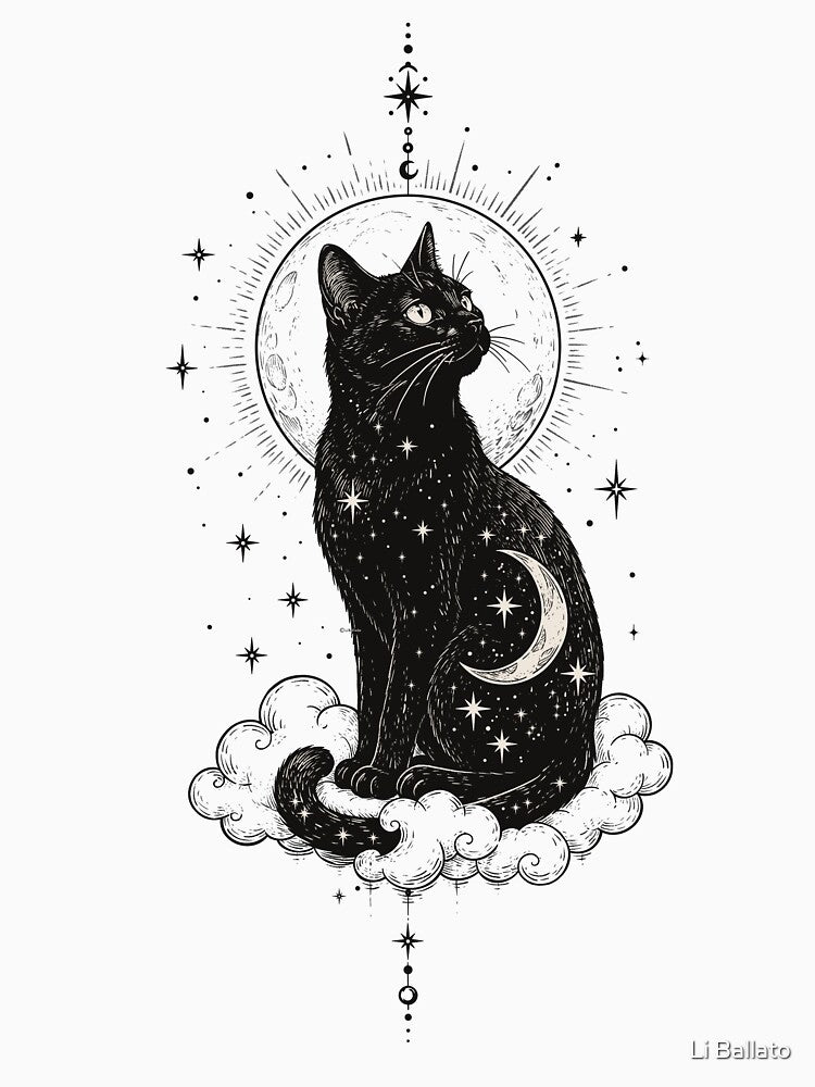 The Stella Cat by Li Ballato