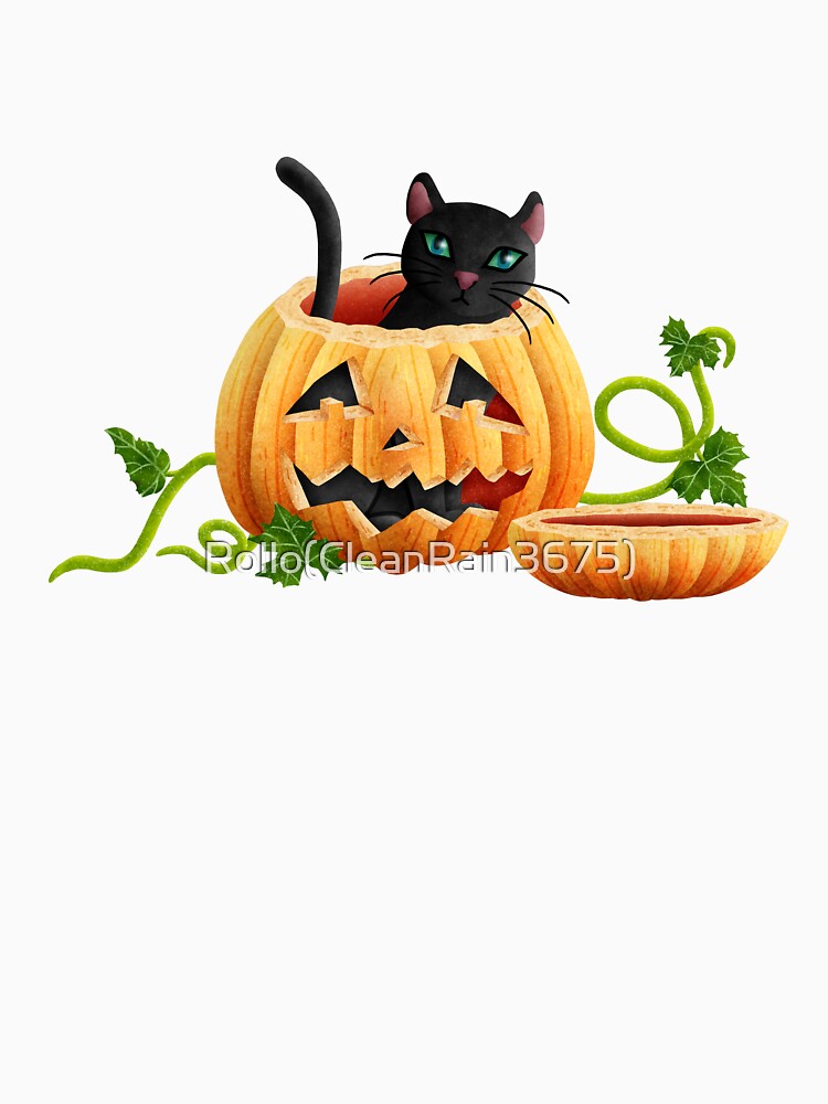 Cat sitting in a Halloween pumpkin by Rollo(CleanRain3675)