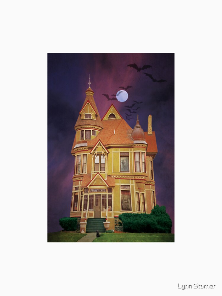 The House on the Corner by Lynn Starner