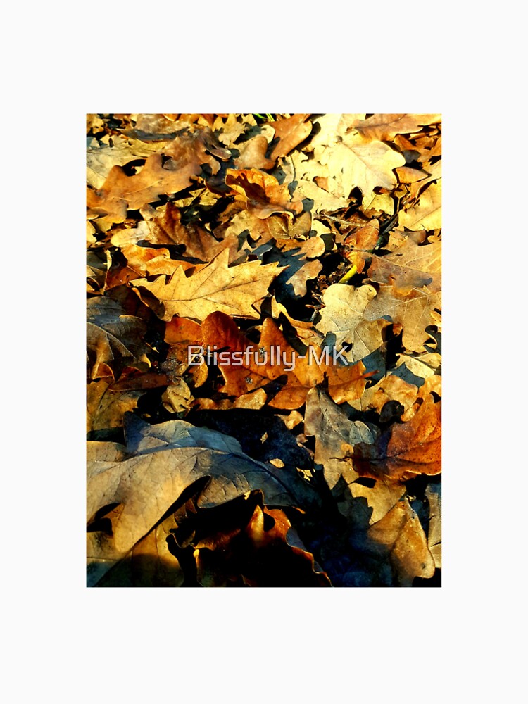 Beautiful Autumn Leaves by Blissfully-MK