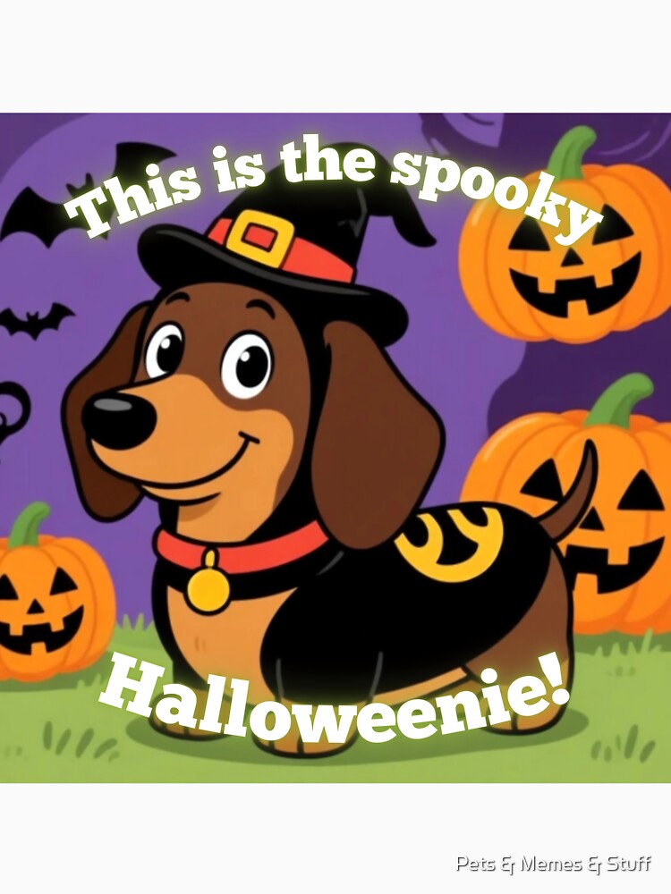 Spooky Halloweenie Dachshund Dog Costume by Pets & Memes & Stuff