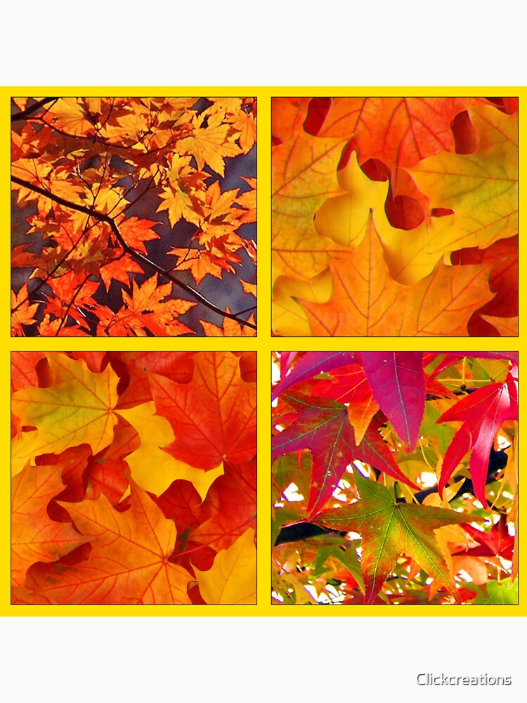 Fall Leaves by Clickcreations