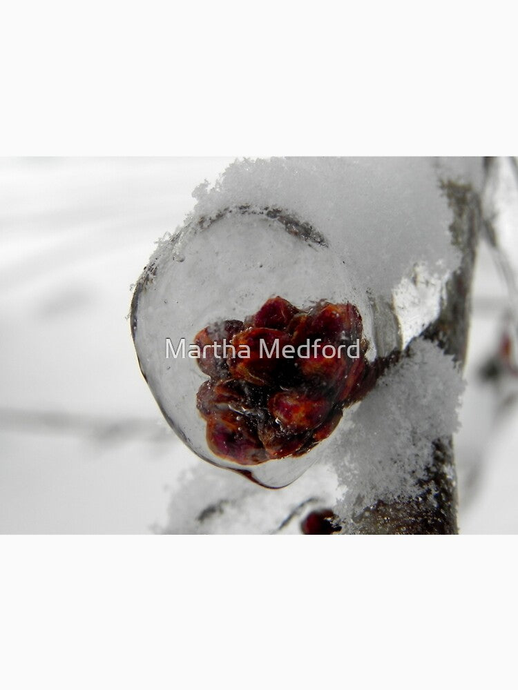 Crystal Ball by Martha Medford
