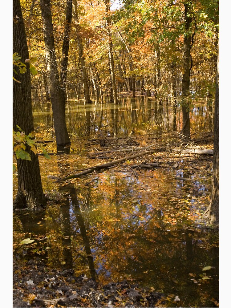 Autumn Trees Near a Lake by BravuraMedia