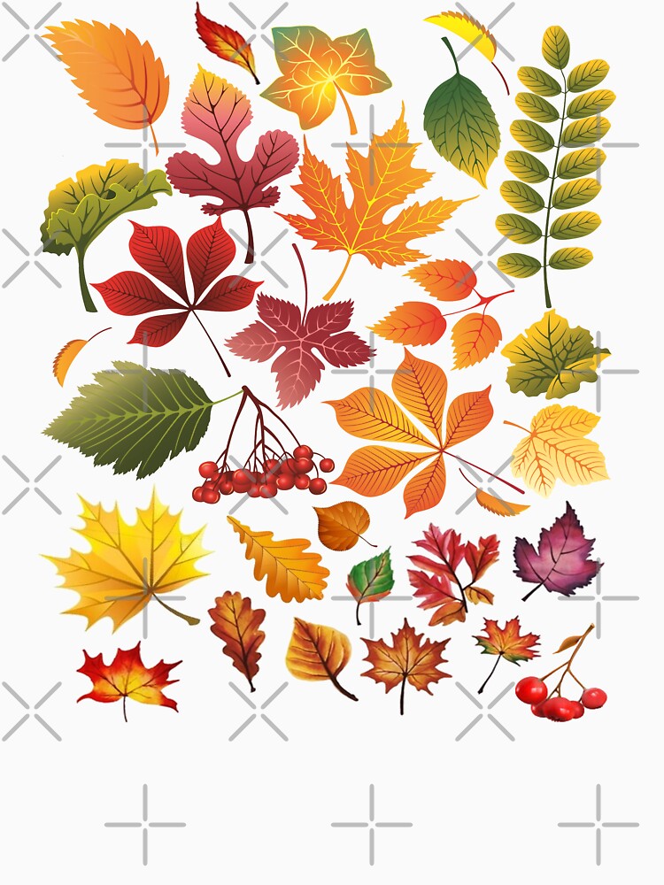 Autumn Leaves by GL Digital Artwork