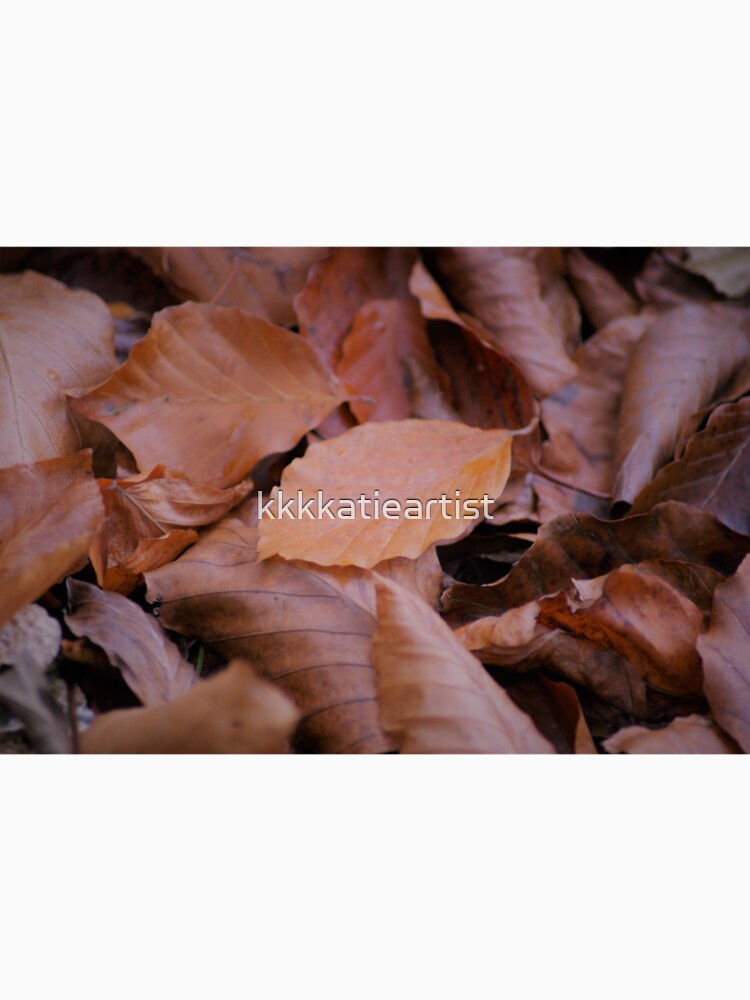 Autumn leaves by kkkkatieartist