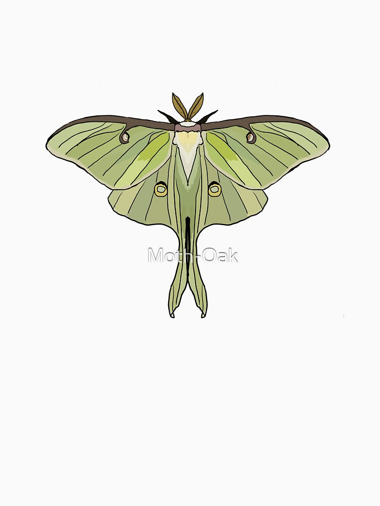 green Luna Moth by Moth-Oak