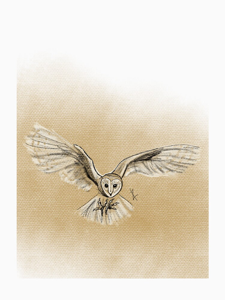 Sunset Owl by audreyoddity