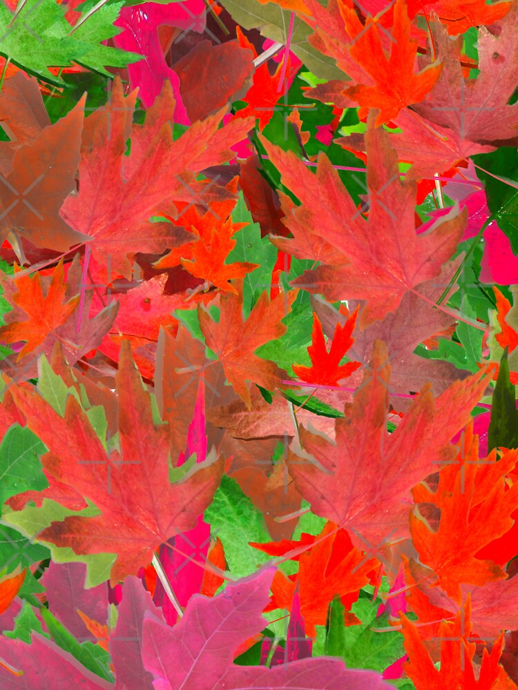 Colorful Fall Leaf Pattern Photography by Victoria Rose