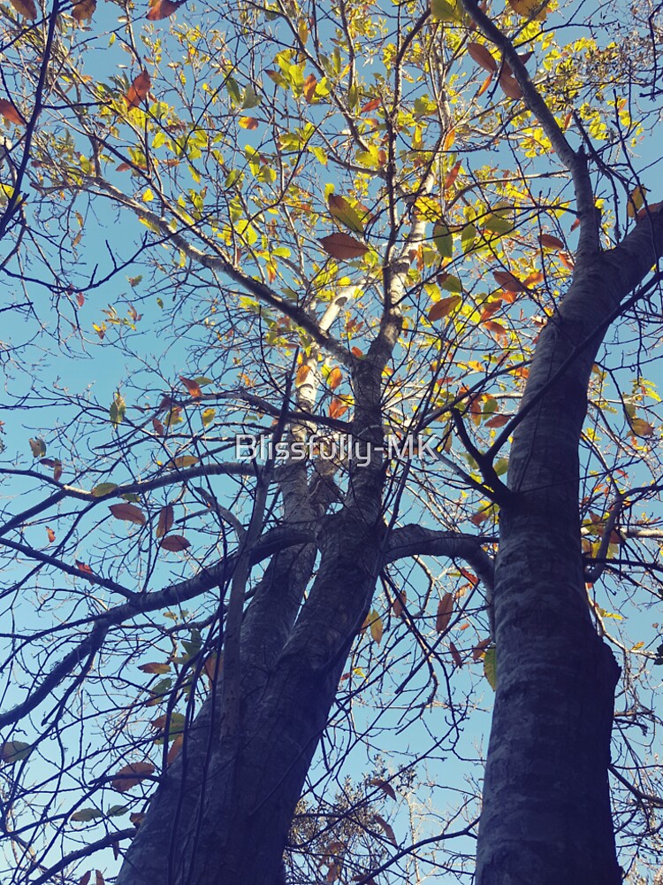 Autumn tree by Blissfully-MK
