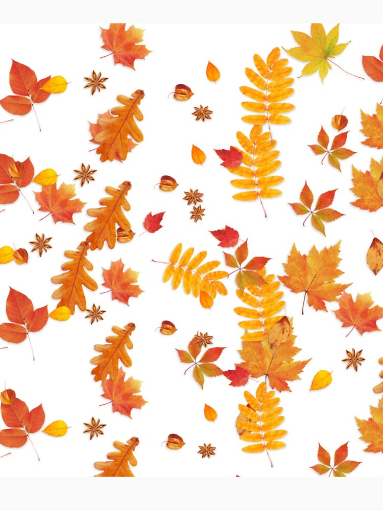 Autumn is coming by RuuDesings