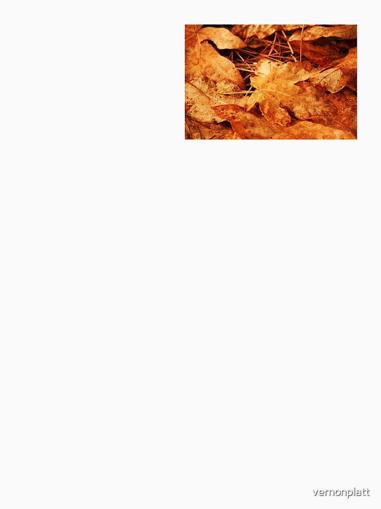 Autumn Maple leaves by vernonplatt