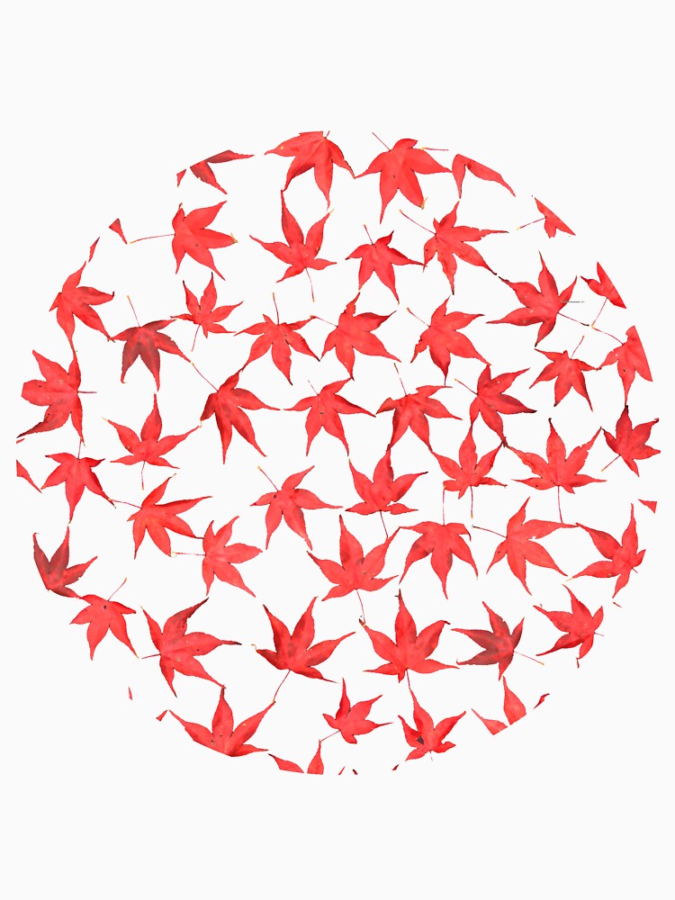 Autumn Leaves - Japanese Maple by Micro-cosmic