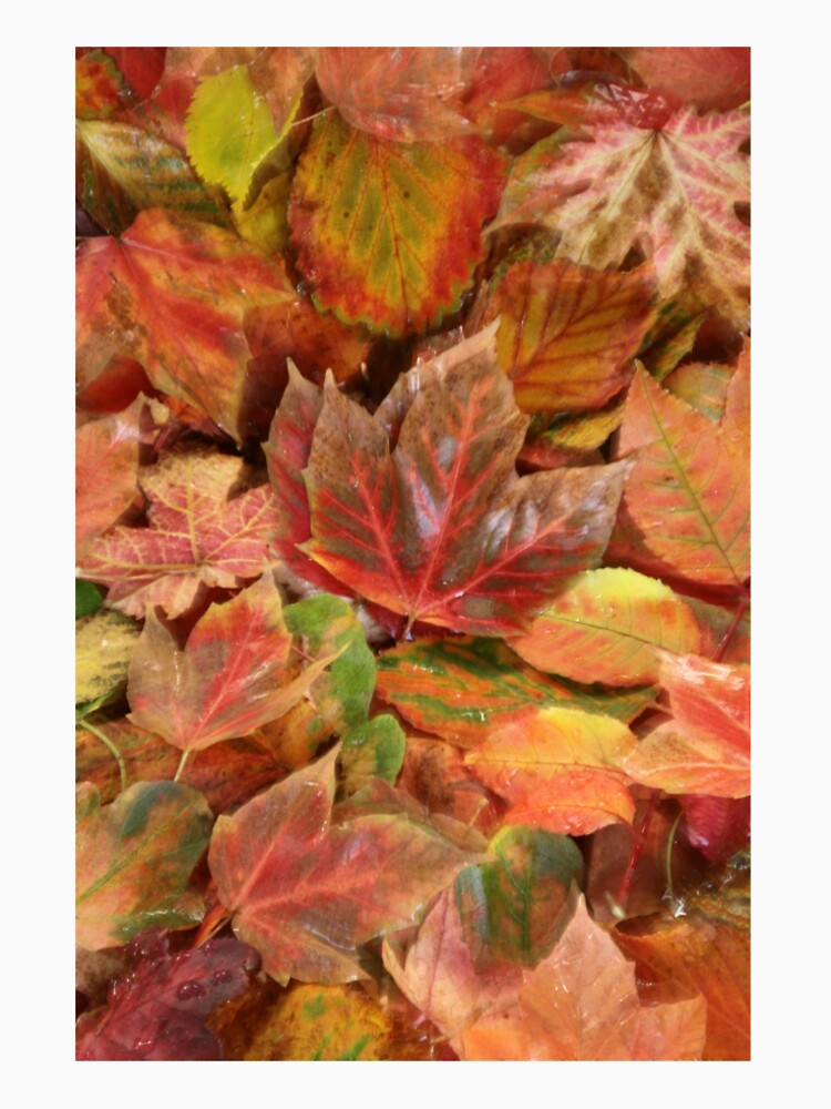 Digital Photograph of autumn leaf collage by SimonJohnson1
