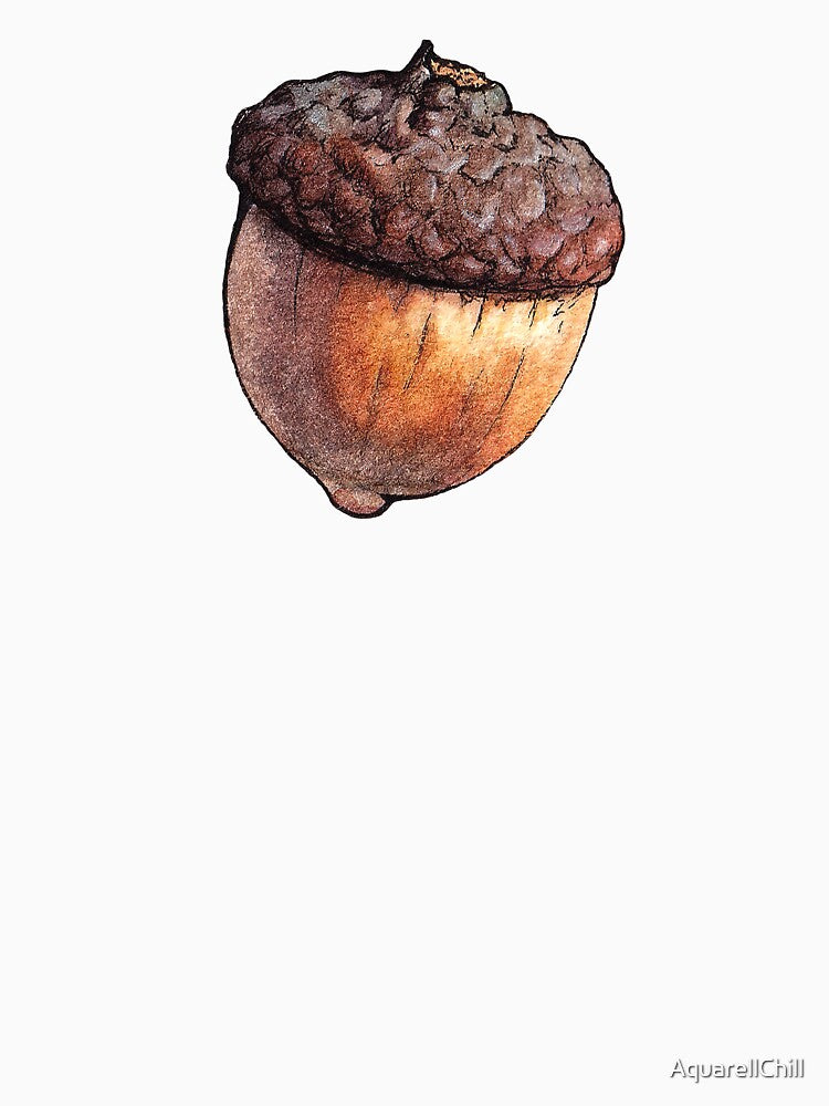 Little Acorn - Oak nut - Watercolor Art by AquarellChill