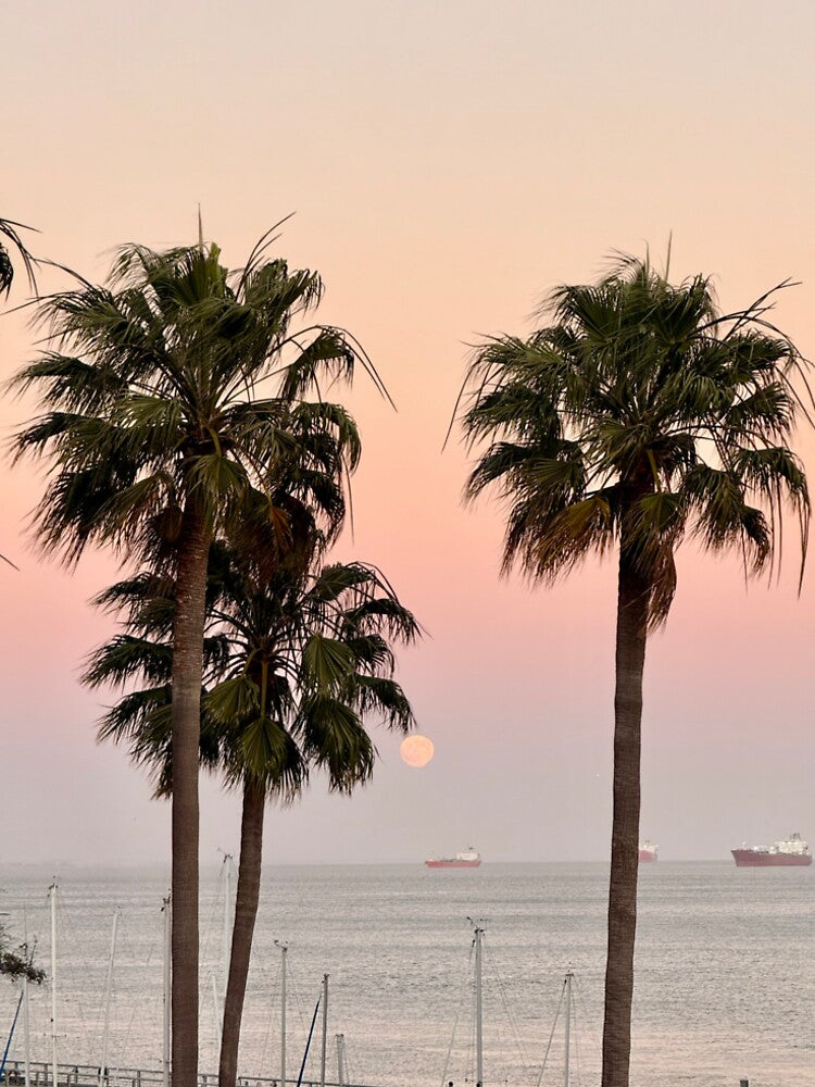 Full Moon in San Francisco by helenamatarante