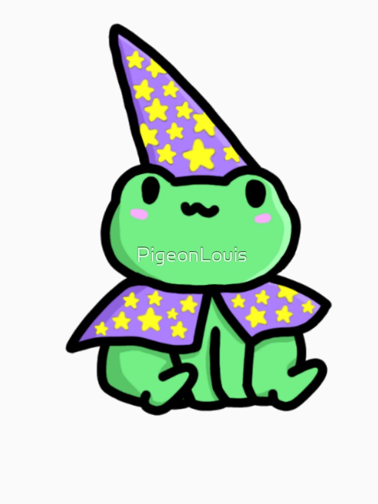 Frog wizard by PigeonLouis