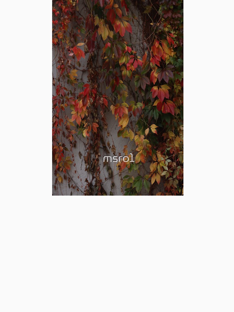 Autumn leaves patterns by msro1