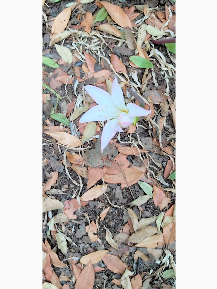Lost flower by KodaMoon