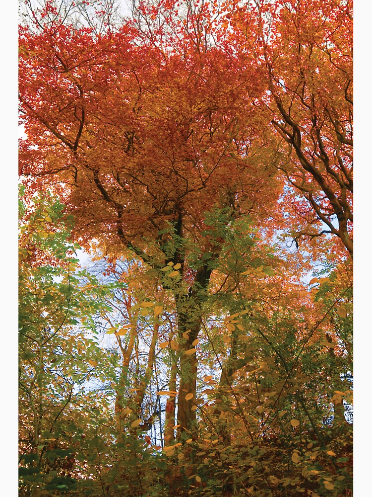 Red Ochre by leafylashes