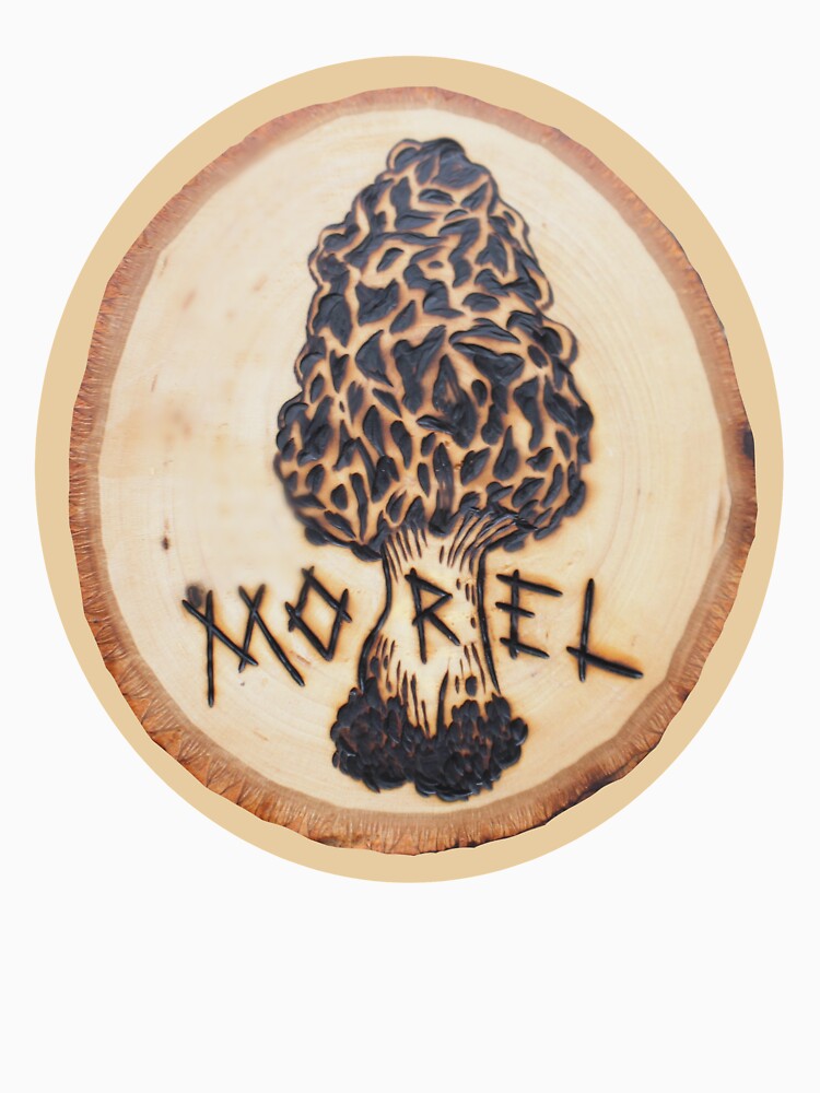 Wood-burned Morel Mushroom Original Artwork! by toadcrafts