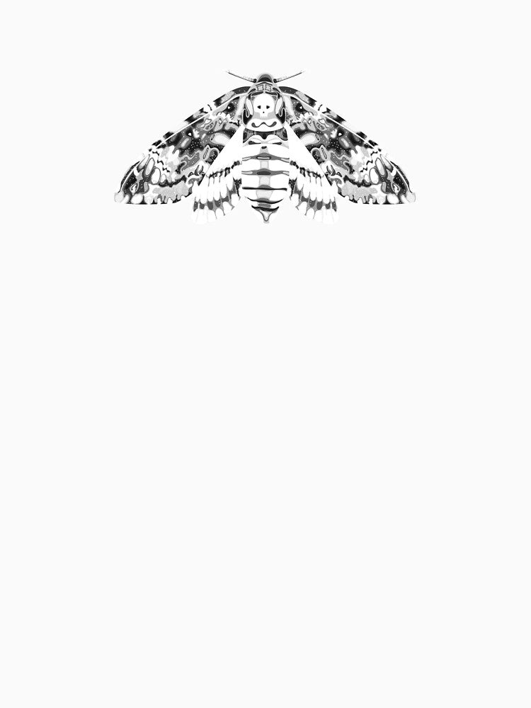 Moth by cherry-girl