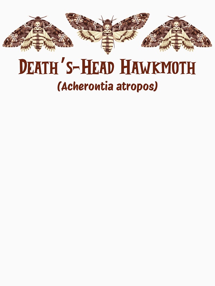 Death's-Head Hawkmoth by Kindred & Thistle