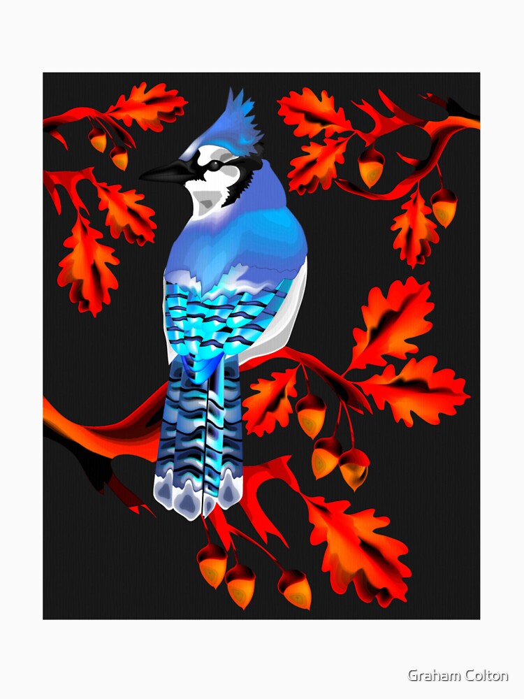 Blue Jay by Graham Colton
