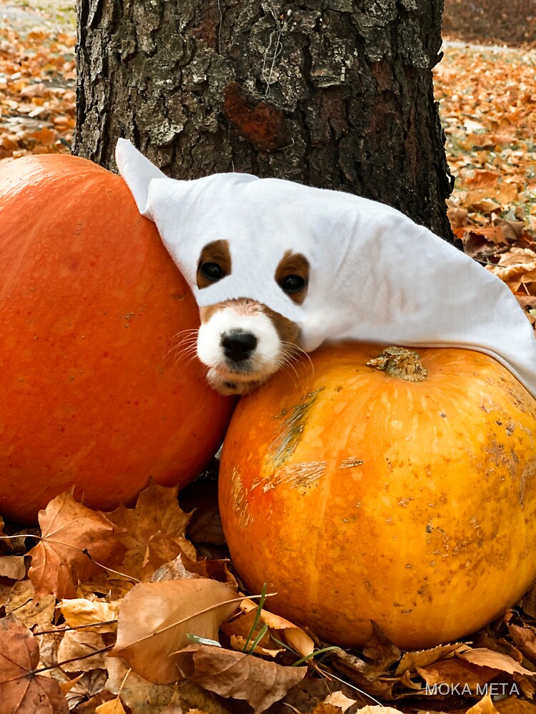 Halloween Puppy by MOKA META