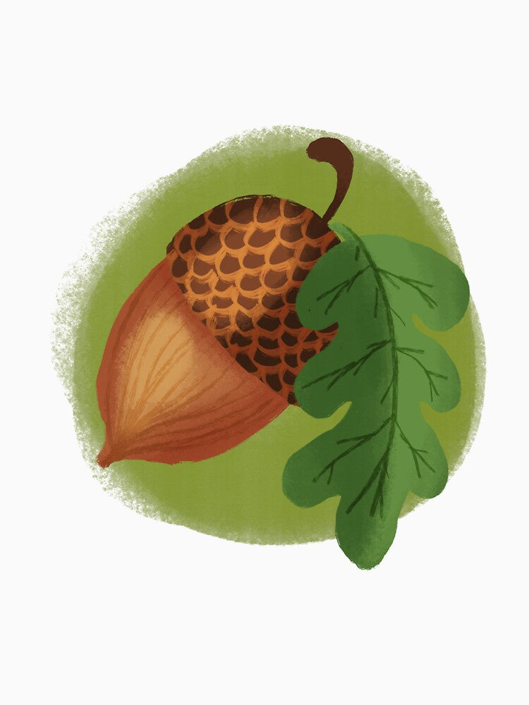 Acorn by Hennariina