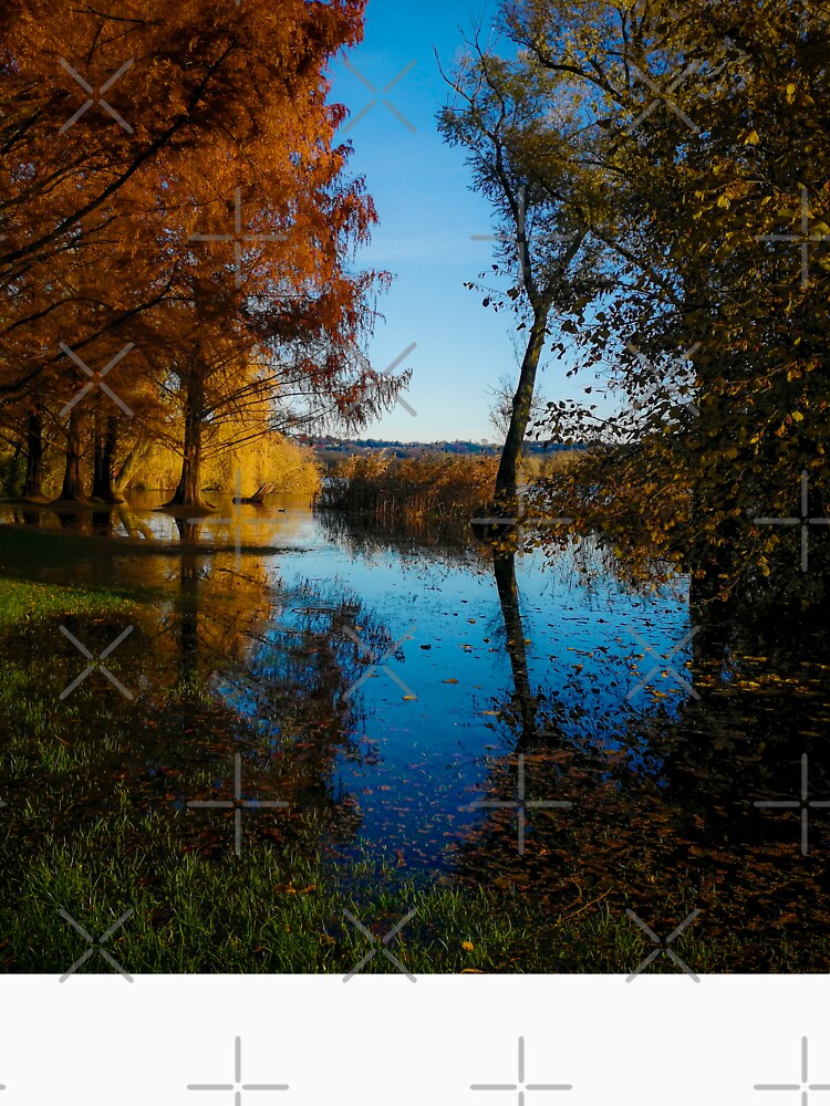 Photography color lake and sky, autumn fallen leaves by marghe41